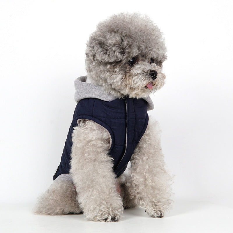 Assorted Colors Fleece Windproof Cotton-padded Jacket Teddy Supplies